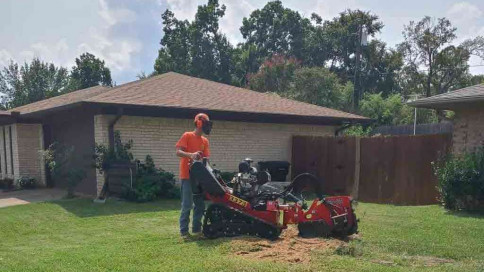 Stump Grinding Stump Grinding