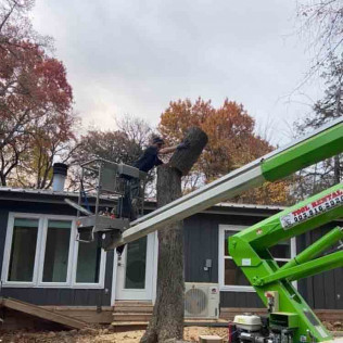 Tree Trimming and Removal Tree Trimming and Removal