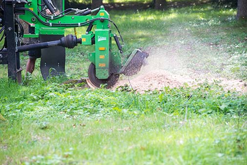 Stump Grinding Stump Grinding