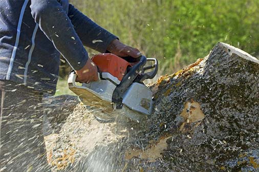 Tree Removal Tree Removal
