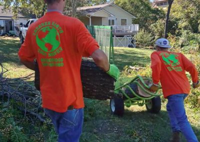 Tree Service (8)