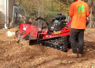 Tree Stump Removal (1)