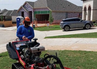 Tree Stump Removal (2)