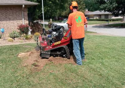 Tree Stump Removal (4)