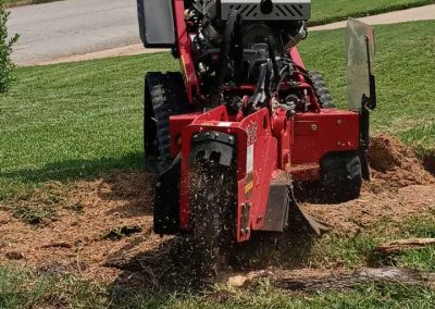 Tree Stump Removal (5)
