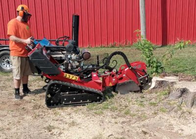 Tree Stump Removal (6)