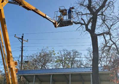 Tree Trimming (4)